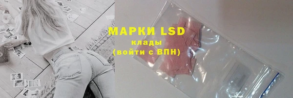 сатива Белокуриха