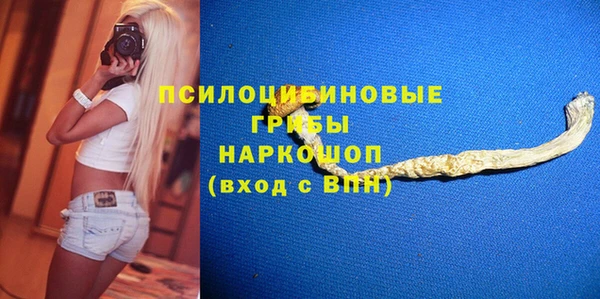 сатива Белокуриха