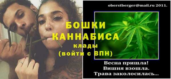сатива Белокуриха