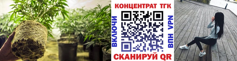 ТГК THC oil  omg рабочий сайт  Магас  купить  